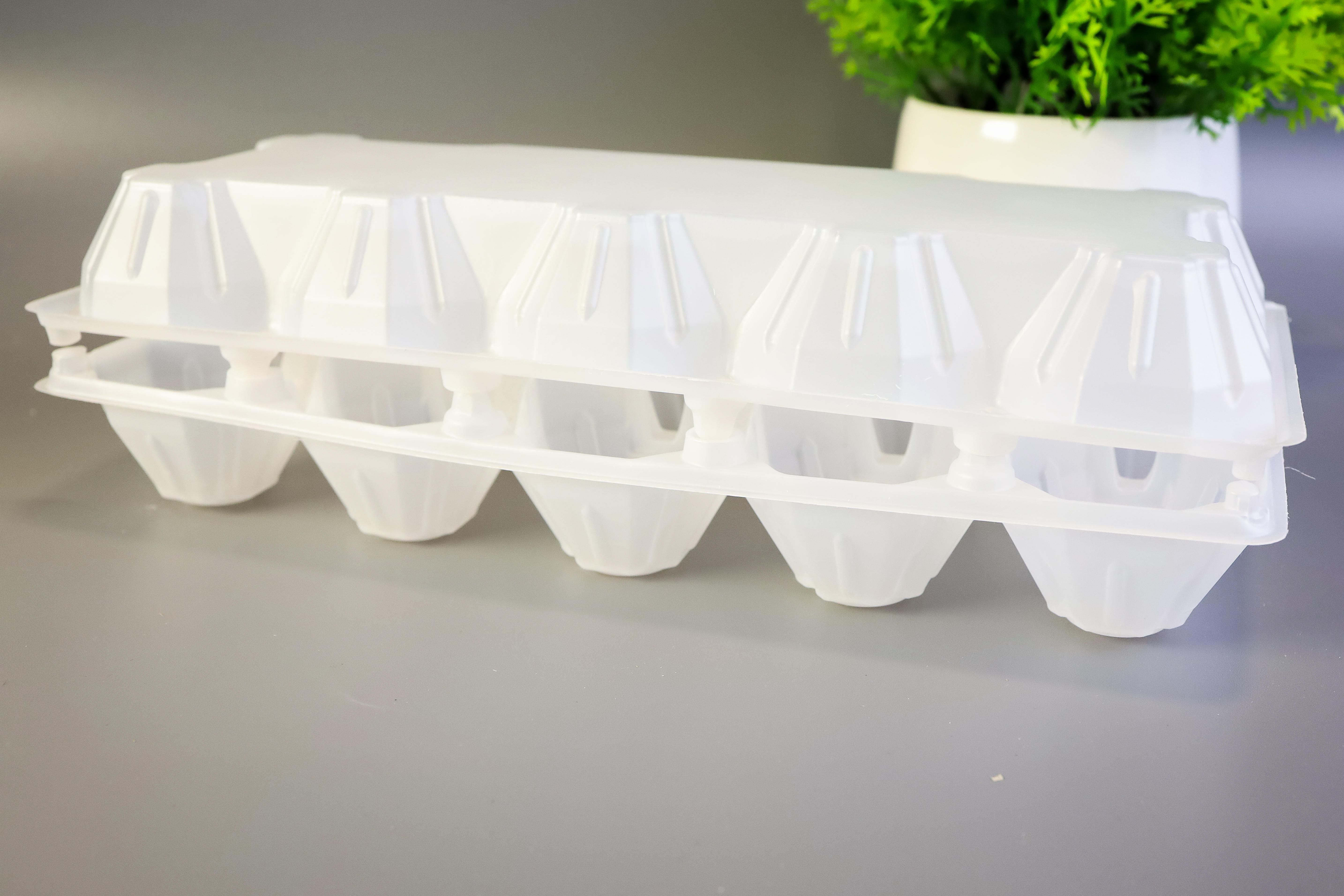 Контейнер 10-ти местный под яйцо 10 BY 